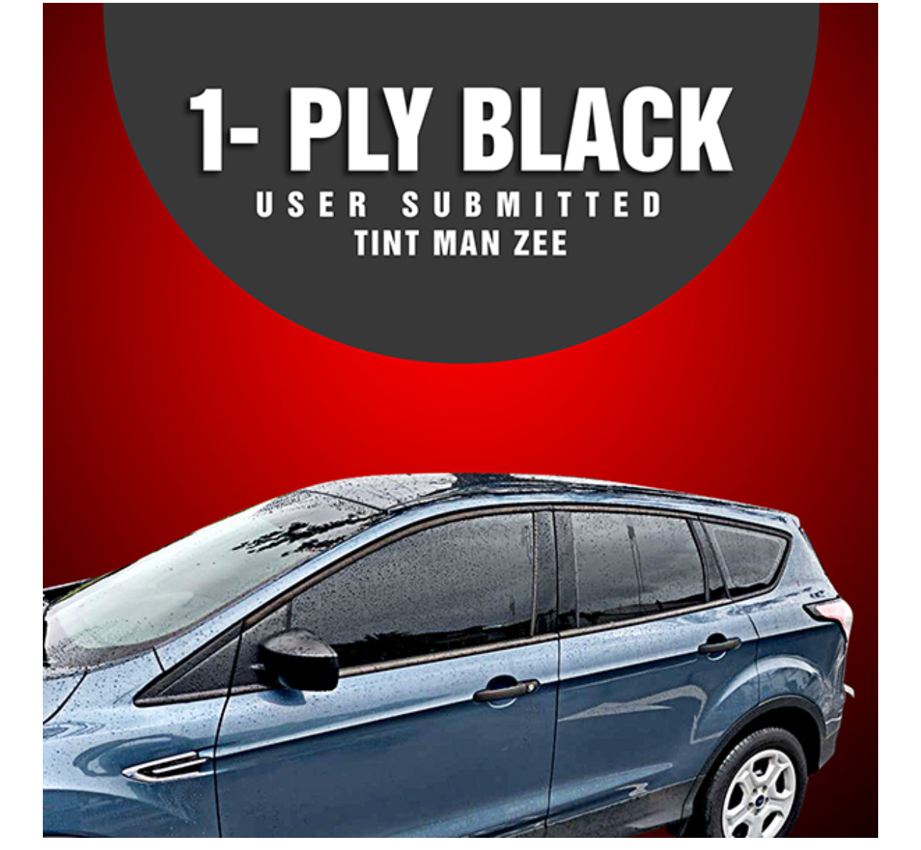 1-PLY BLACK ECONOMY